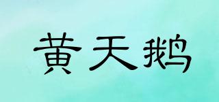 黄天鹅品牌logo