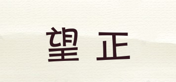 WZ/望正品牌logo