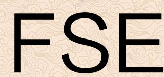 FSE品牌logo
