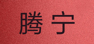 腾宁品牌logo