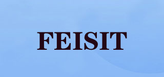 FEISIT品牌logo