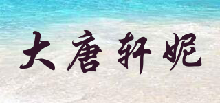 大唐轩妮品牌logo