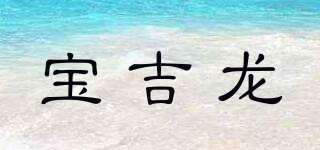 宝吉龙品牌logo