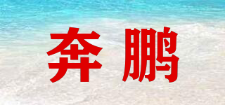 奔鹏品牌logo