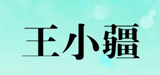 王小疆品牌logo