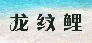 龙纹鲤品牌logo
