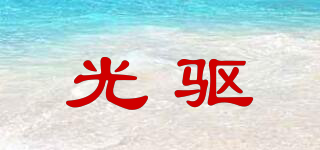 LDRIVE/光驱品牌logo