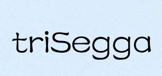 triSegga品牌logo