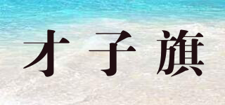 CZQ.CZIQI/才子旗品牌logo