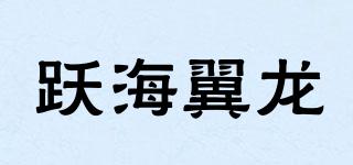 跃海翼龙品牌logo
