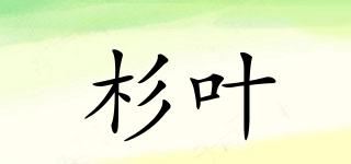杉叶品牌logo