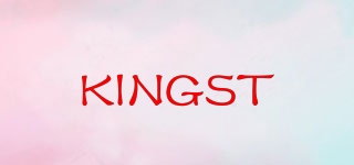 KINGST品牌logo