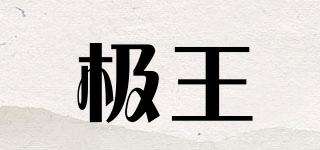 极王品牌logo