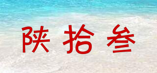 陕拾叁品牌logo