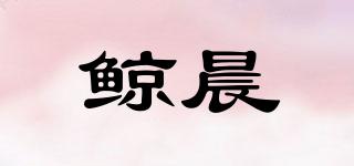 WHALEDAWN/鲸晨品牌logo