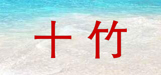 shizhu/十竹品牌logo