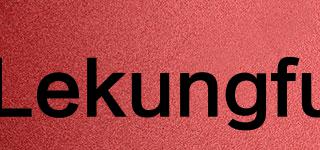 Lekungfu品牌logo