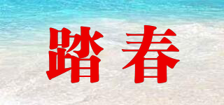 踏春品牌logo