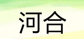河合品牌logo