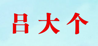 吕大个品牌logo