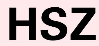 HSZ品牌logo