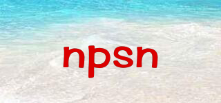 npsn品牌logo