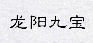 龙阳九宝品牌logo
