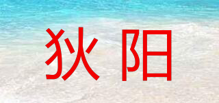 狄阳品牌logo