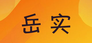 岳实品牌logo