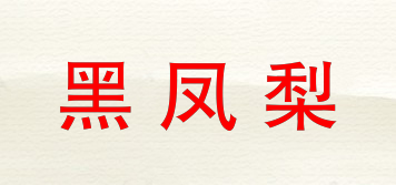 黑凤梨品牌logo