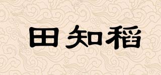 田知稻品牌logo