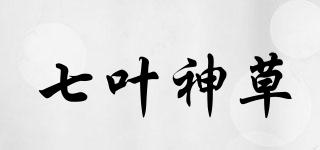 七叶神草品牌logo