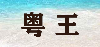 粤王品牌logo