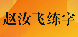 赵汝飞练字品牌logo