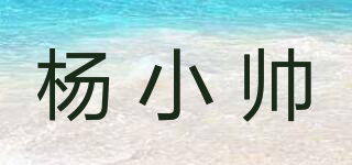 杨小帅品牌logo