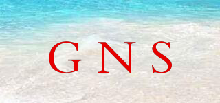 GNS品牌logo
