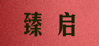 臻启品牌logo