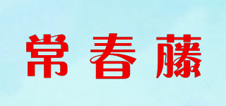 常春藤品牌logo