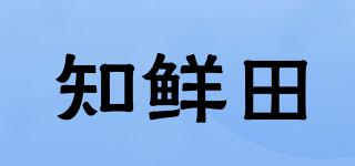 知鲜田品牌logo