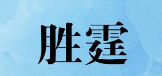 胜霆品牌logo