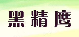 黑精鹰品牌logo