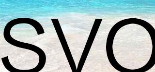 SVQ品牌logo