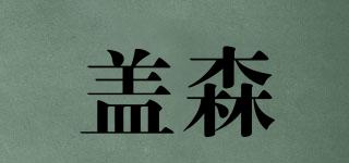 盖森品牌logo