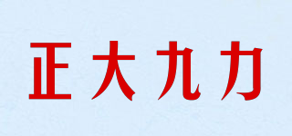 正大九力品牌logo