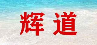 辉道品牌logo