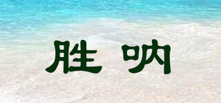 胜呐品牌logo