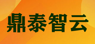 DTZY/鼎泰智云品牌logo