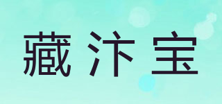藏汴宝品牌logo