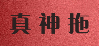 ZST/真神拖品牌logo