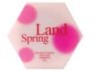 Spring lands/丝佩兰品牌logo